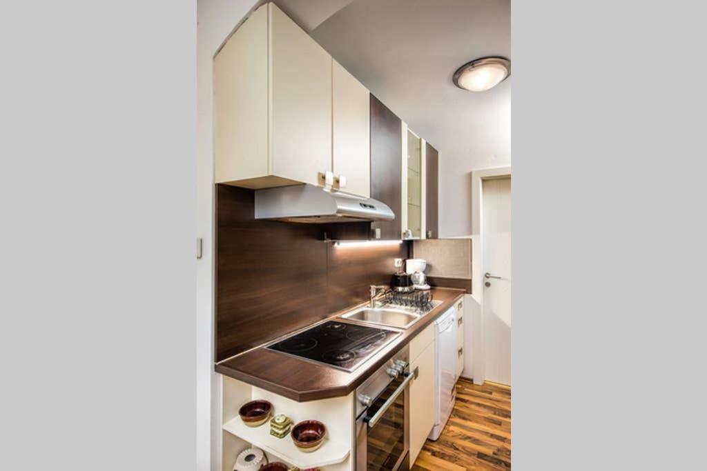Cosy Apartment Near Stephansplatz Vienne Extérieur photo